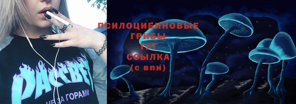 Альфа ПВП Нефтекумск