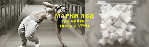 стаф Нефтегорск