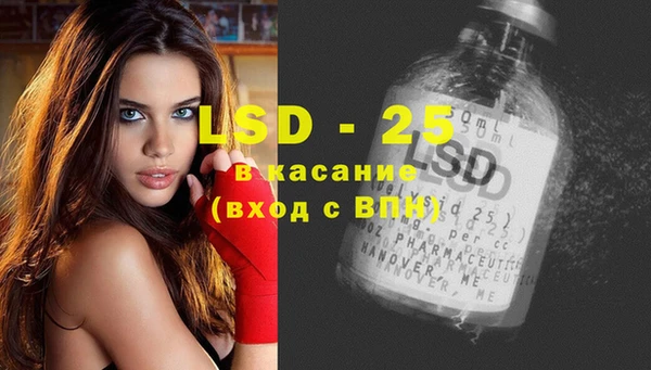 стаф Нефтегорск
