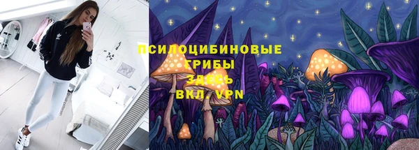 стаф Нефтегорск